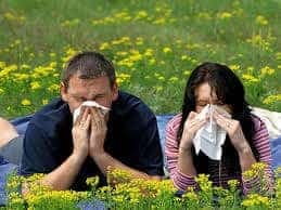 Allergies and Neck Pain